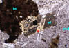 View of M32 [field of view 1 mm]. In
   addition to biotite, large anhedral andalusite and smaller euhedral
   staurolite crystals contain lath shaped inclusion free areas
   which indicate the former positions of chloritoid
   crystals. The chloritoid [marked with a red x] has been overgrown by both species