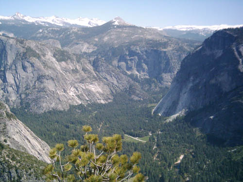 Scenery at Yosemite