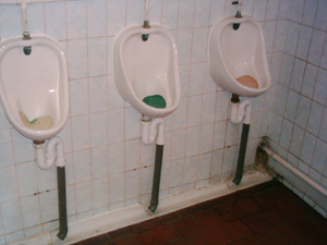 Toilets in the Prince of Wales